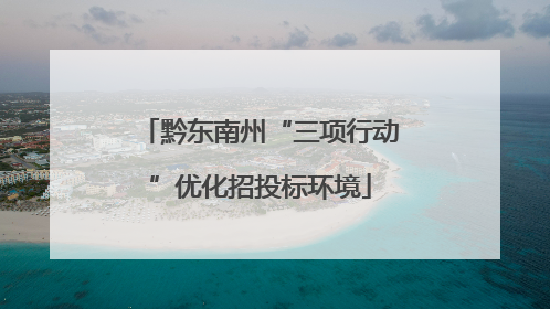 黔东南州“三项行动”优化招投标环境