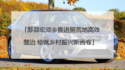 黟县宏潭乡推进撂荒地高效整治 绘就乡村振兴新画卷