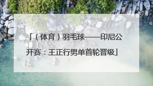 （体育）羽毛球——印尼公开赛：王正行男单首轮晋级