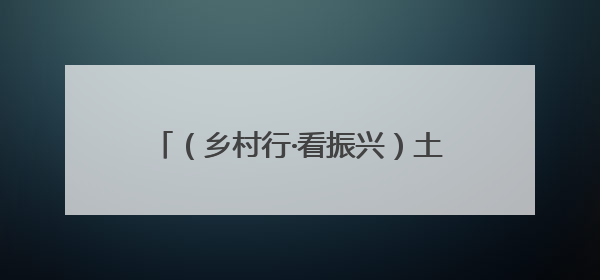 （乡村行·看振兴）土鸡坐上无人机 江西南康“空中快递员”助振兴