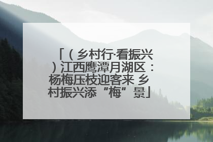 （乡村行·看振兴）江西鹰潭月湖区：杨梅压枝迎客来 乡村振兴添“梅”景