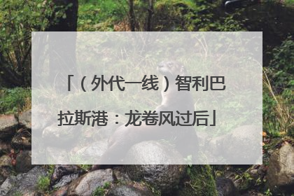 （外代一线）智利巴拉斯港：龙卷风过后