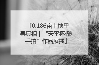 0.186亩土地里寻真相｜“天平杯·随手拍”作品展播