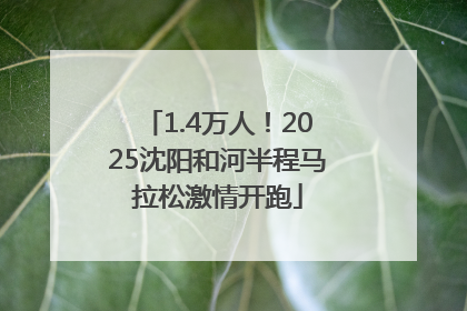 1.4万人！2025沈阳和河半程马拉松激情开跑