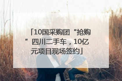 10国采购团“抢购”四川二手车，10亿元项目现场签约