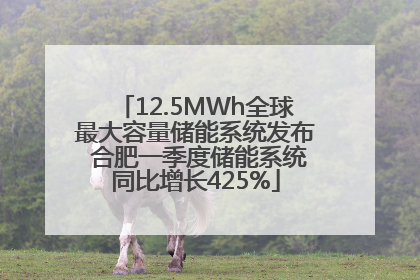 12.5MWh全球最大容量储能系统发布 合肥一季度储能系统同比增长425%