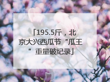 195.5斤，北京大兴西瓜节“瓜王”重量破纪录