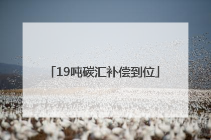 19吨碳汇补偿到位