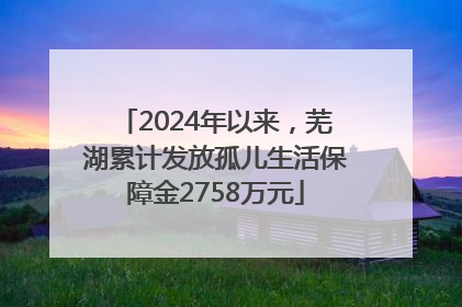 2024年以来，芜湖累计发放孤儿生活保障金2758万元