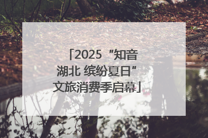 2025“知音湖北 缤纷夏日”文旅消费季启幕
