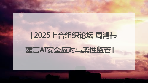 2025上合组织论坛 周鸿祎建言AI安全应对与柔性监管