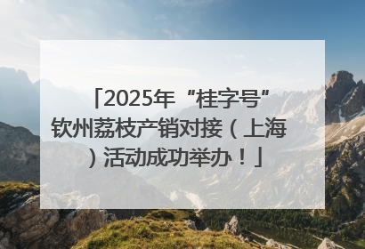 2025年“桂字号”钦州荔枝产销对接（上海）活动成功举办！
