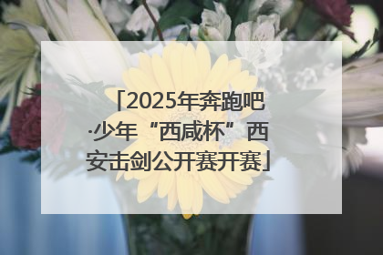 2025年奔跑吧·少年“西咸杯”西安击剑公开赛开赛