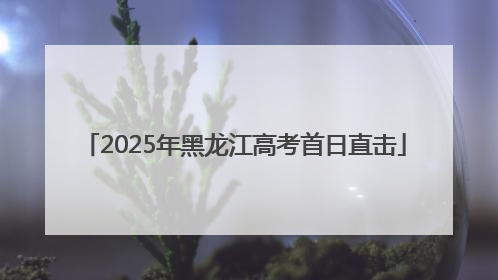 2025年黑龙江高考首日直击