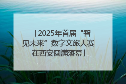 2025年首届“智见未来”数字文旅大赛在西安圆满落幕