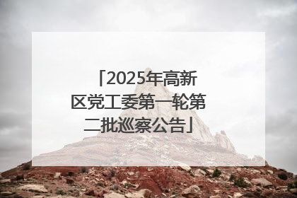 2025年高新区党工委第一轮第二批巡察公告