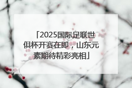 2025国际足联世俱杯开赛在即，山东元素期待精彩亮相