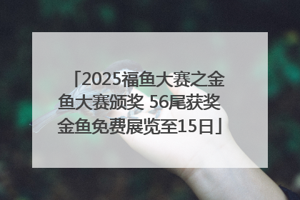 2025福鱼大赛之金鱼大赛颁奖 56尾获奖金鱼免费展览至15日