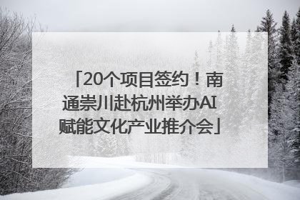 20个项目签约！南通崇川赴杭州举办AI赋能文化产业推介会