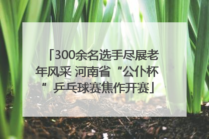 300余名选手尽展老年风采 河南省“公仆杯”乒乓球赛焦作开赛