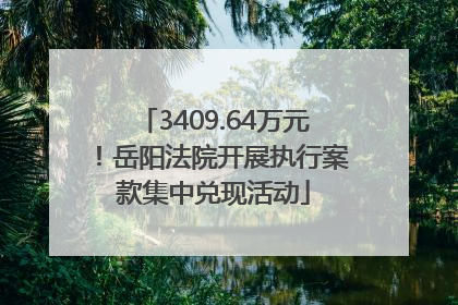 3409.64万元！岳阳法院开展执行案款集中兑现活动
