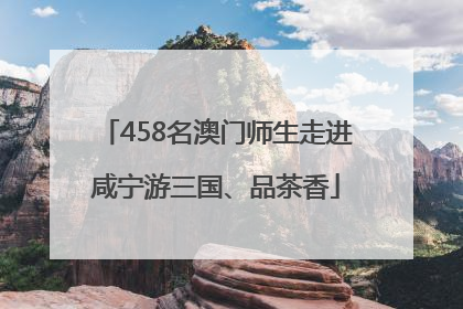 458名澳门师生走进咸宁游三国、品茶香