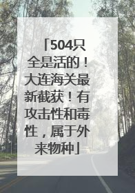 504只全是活的！大连海关最新截获！有攻击性和毒性，属于外来物种