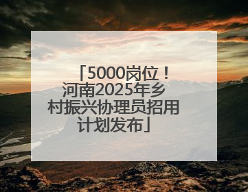 5000岗位！河南2025年乡村振兴协理员招用计划发布