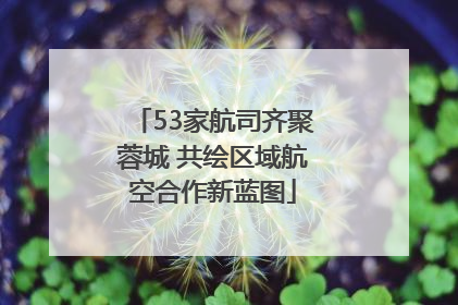 53家航司齐聚蓉城 共绘区域航空合作新蓝图