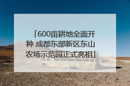 600亩耕地全面开种 成都东部新区东山农场示范园正式亮相