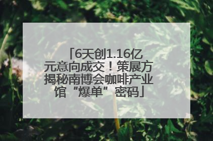 6天创1.16亿元意向成交！策展方揭秘南博会咖啡产业馆“爆单”密码