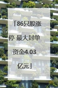 86只股涨停 最大封单资金4.03亿元