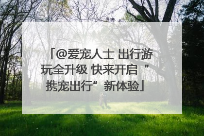 @爱宠人士 出行游玩全升级 快来开启“携宠出行”新体验