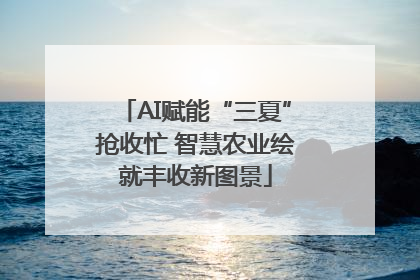 AI赋能“三夏”抢收忙 智慧农业绘就丰收新图景