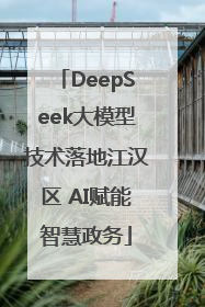 DeepSeek大模型技术落地江汉区 AI赋能智慧政务