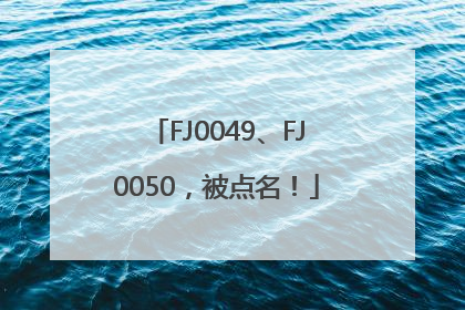 FJ0049、FJ0050，被点名！