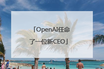OpenAI任命了一位新CEO