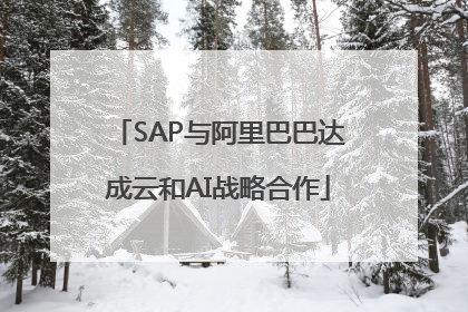 SAP与阿里巴巴达成云和AI战略合作