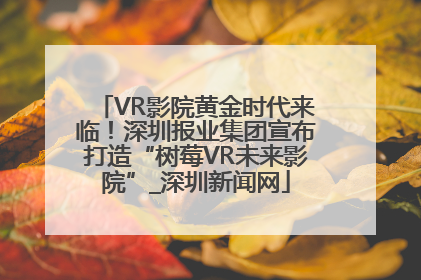 VR影院黄金时代来临！深圳报业集团宣布打造“树莓VR未来影院”_深圳新闻网